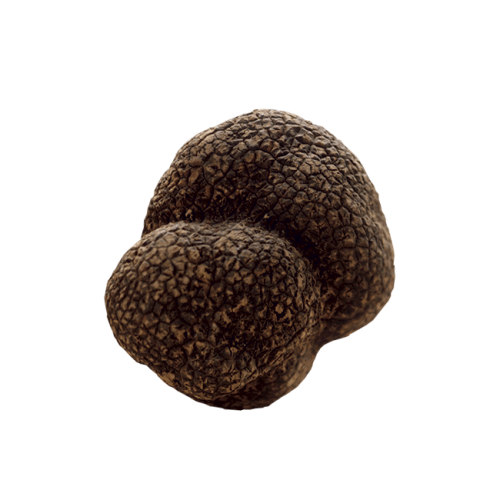 Tartufo Nero Estivo